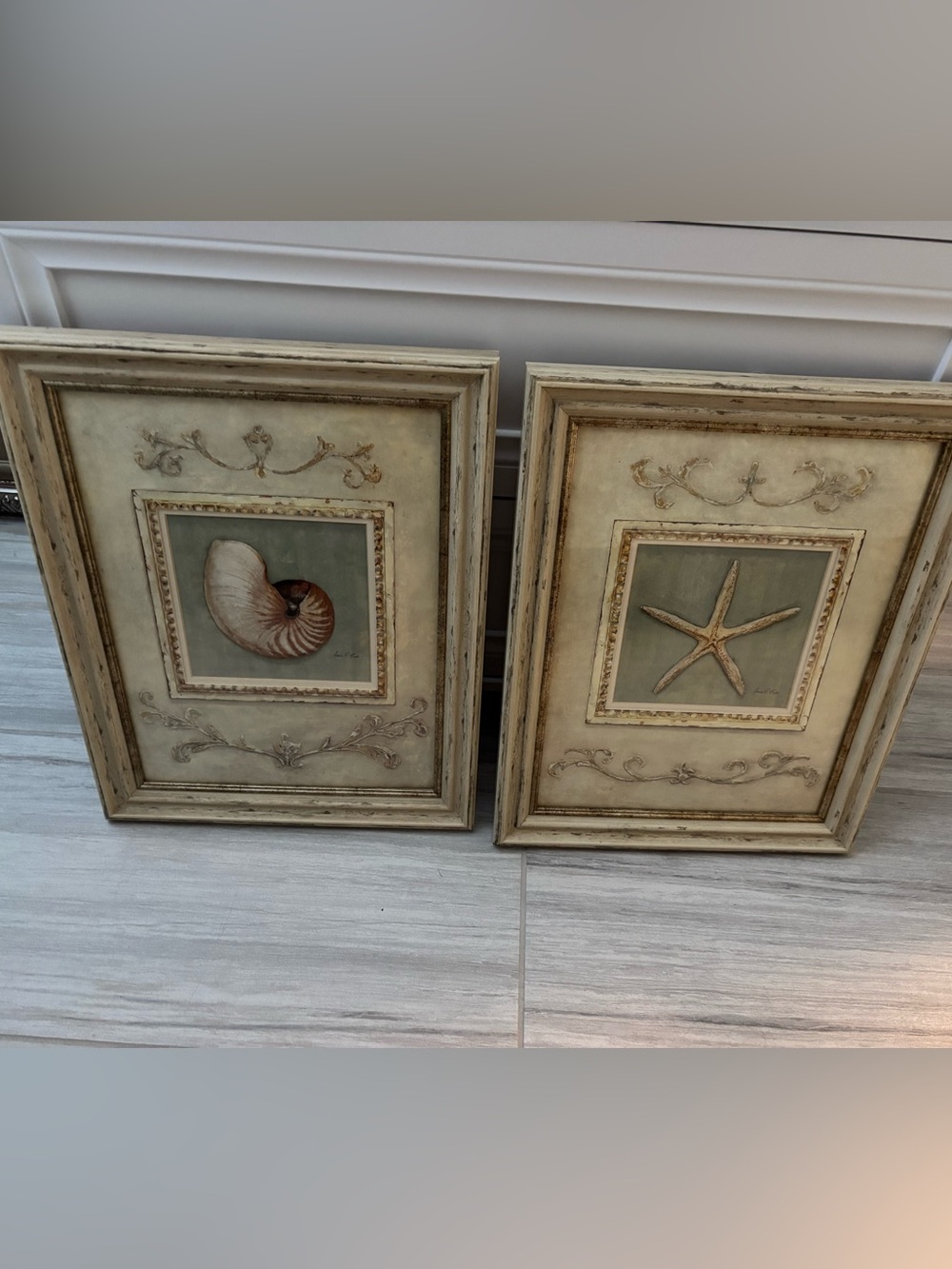 Coastal Shell Wall Art Pair in Beige and gold